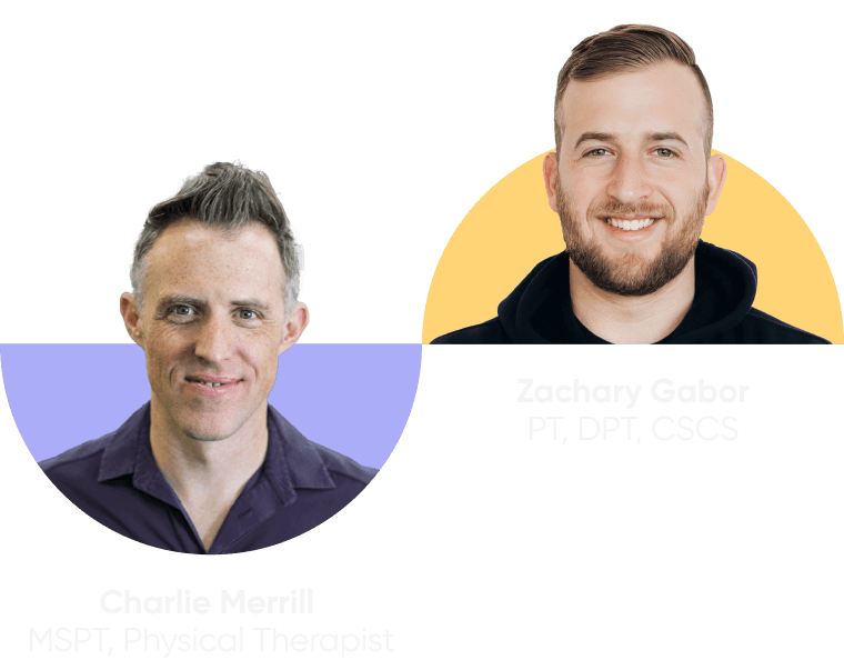 Healing Chronic Back Pain The active ingredients Lin.health